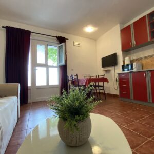 Family One-bedroom apartment with Terrace – ground floor
